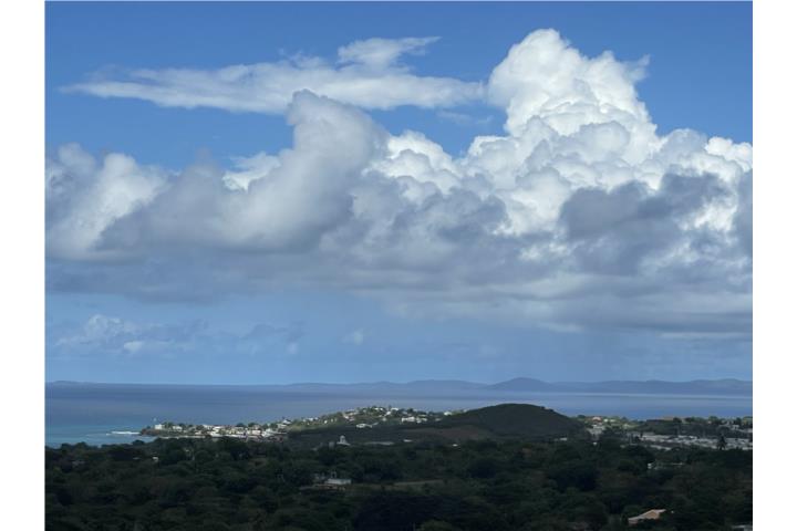 Monte Vieques