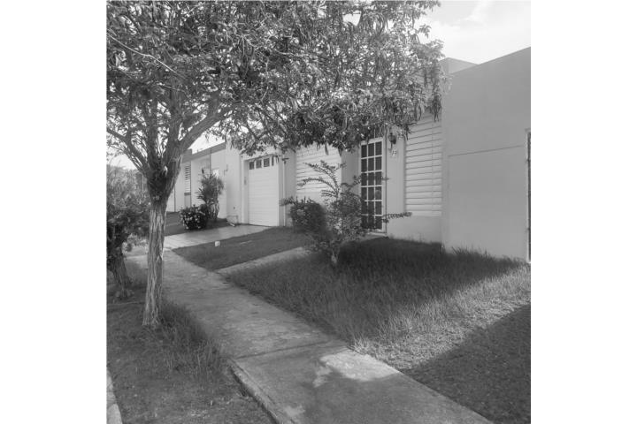 Jardines De Palo Arecibo