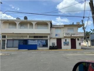 Galeria