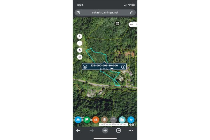 Montoso Puerto Rico Maricao