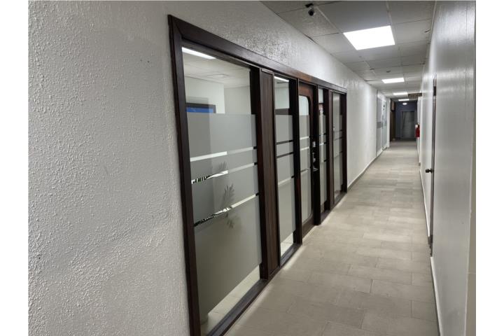 El San Juan - Hato Rey