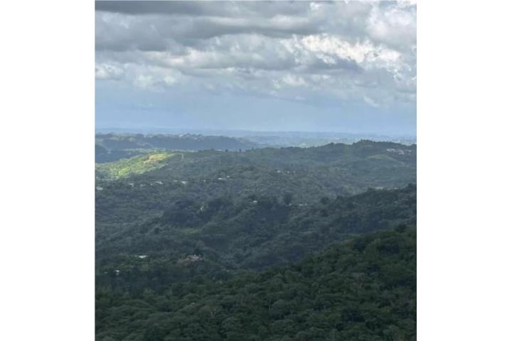Caonillas Utuado