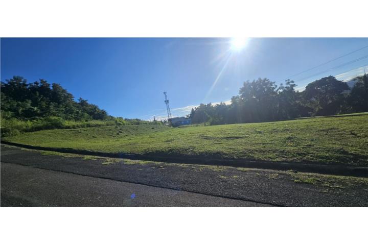 Mirador De Río Grande