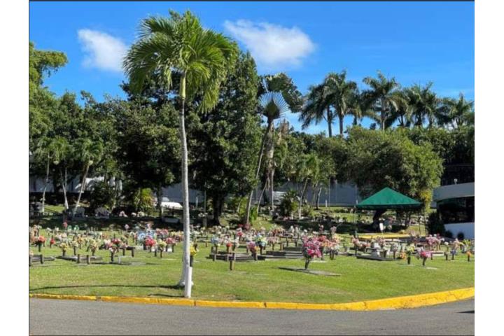 Suchville Puerto Rico Guaynabo