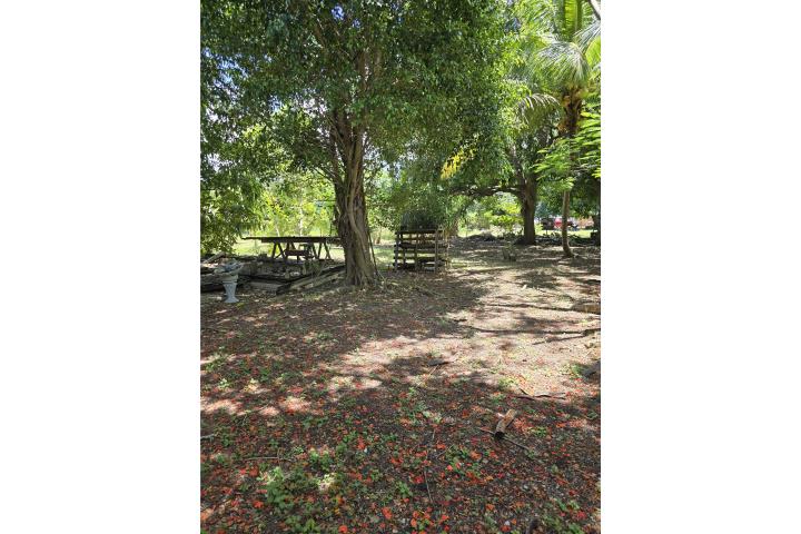 Betances Puerto Rico Cabo Rojo