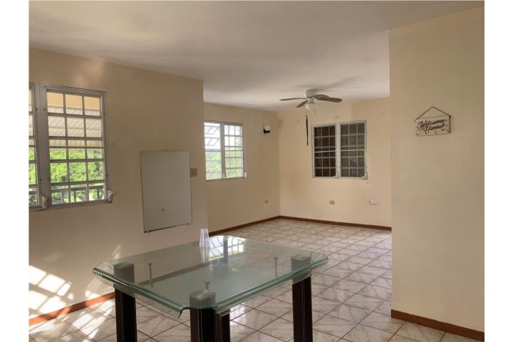 Galateo Puerto Rico Toa Alta