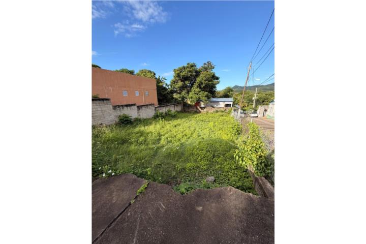 Pueblo Puerto Rico Guayama