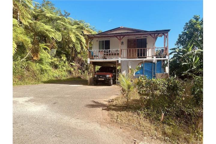 Montoso Puerto Rico Mayagüez