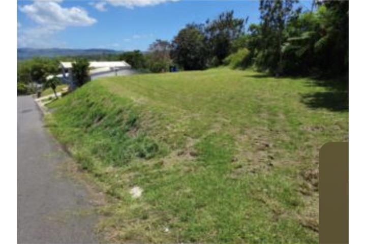 Pozas Puerto Rico San Sebastián