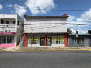 Galeria