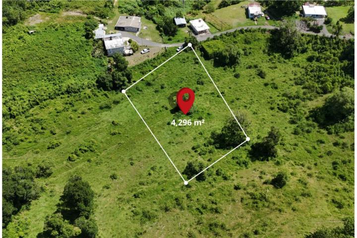 Saltos Puerto Rico San Sebastián