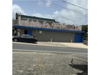 Galeria