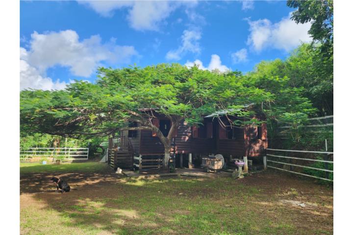 Ranchos Puerto Rico, Venta Bienes Raíces Guayama Puerto Rico, Real ...