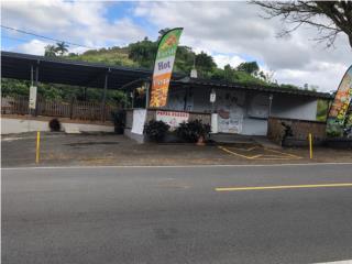 Galeria