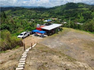 12 Cuerdas - Bo. Palo Hincado, Barranquitas