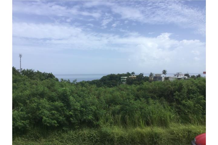 Puntas Puerto Rico