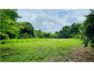 Terreno Guaynabo