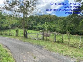 FINCA CABO ROJO VISTA A BOQUERON