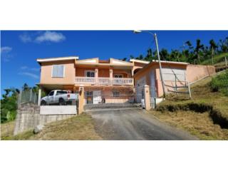 Casa sector Los Carrasquillo 