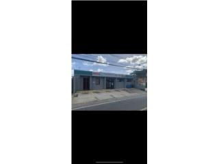 Galeria