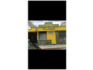 Galeria