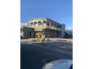 Galeria