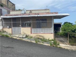 Roosevelt Puerto Rico