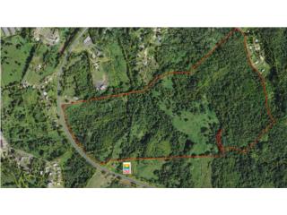 80 Cuerdas - Morovis Norte - PR-137