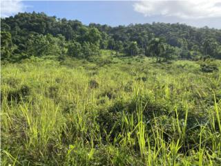 12.6 Cuerdas Terreno