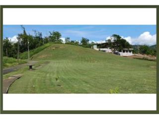 Terreno Residencial, Valles del Lago I