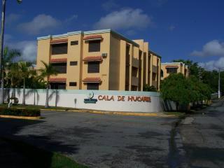 Galeria