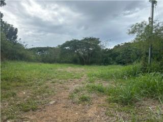 SOLAR COMERCIAL 961M2 COLINDA CON LA CARR100