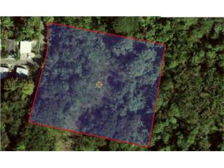 Terreno Barrio Pedernales 2.83C (11,123 M2)