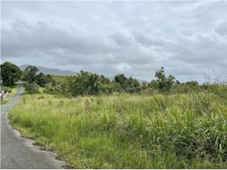 Finca 20 cuerdas - CEIBA