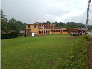 Galeria