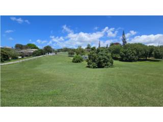 7232 para inversin $350k omo