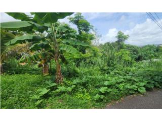 Terreno Bellas Lomas, Bo. Miradero, Mayagüez