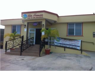 Galeria