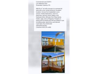 Galeria