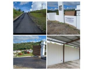 Barranquitas Desvo Zayas Green
