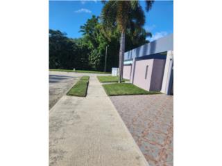 Galeria