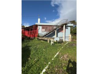 INT PR 181 SECTOR LOS BORGES SAN LORENZO CASH