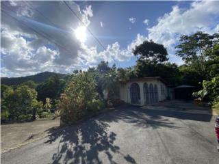 Sect San Andres Utuado
