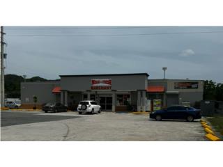 Galeria
