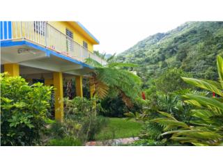 Casa De Campo, con Piscina, Orocovis