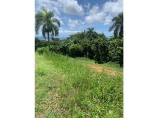 Solar en Barrio Borinquen Caguas