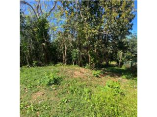 TERRENO EN VENTA HATO ARRIBA SAN SEBASTIAN 