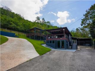 Clasificados Online Puerto Rico
