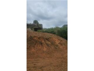 Finca Sector Los Torres Bo. Sonadora