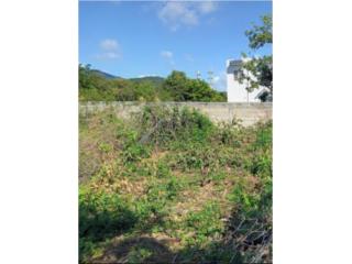 SOLAR BDA. MARIN EN GUAYAMA VENTA CASH!